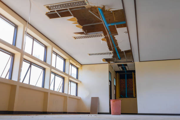 Best 24/7 water damage repair  in Pageland, SC