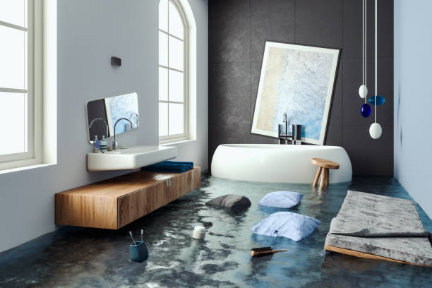 Water damage restoration mold remediation in SC