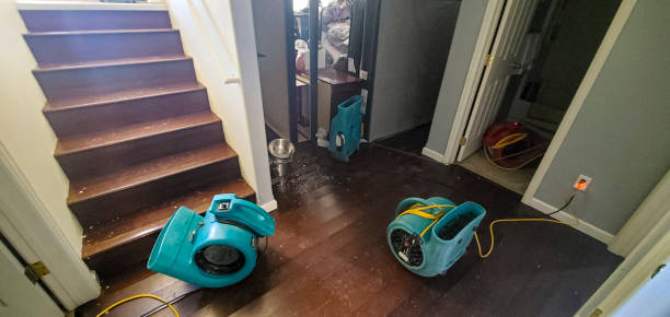  Pageland, SC Water damage restoration Pros