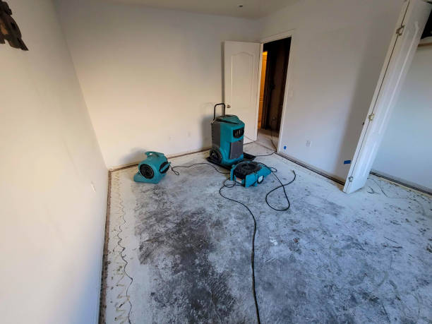 Best 24-hour water damage restoration  in Pageland, SC