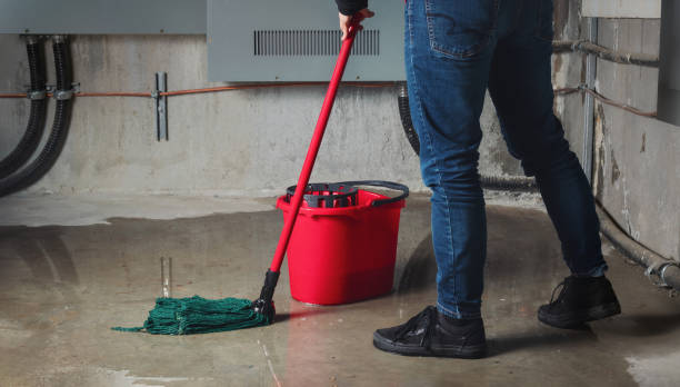 Reliable SC Water damage restoration Solutions