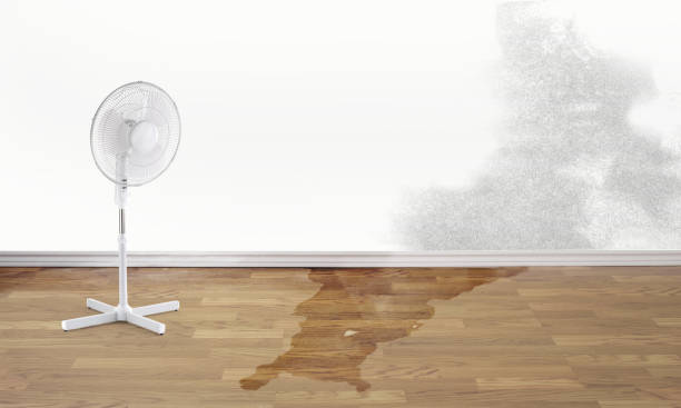 Water damage restoration process in SC