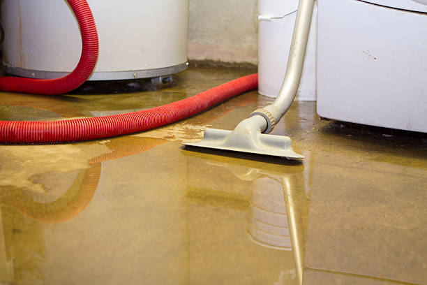 Best Ceiling water damage repair  in Pageland, SC