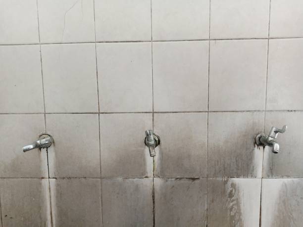 Best Professional water damage repair  in Pageland, SC
