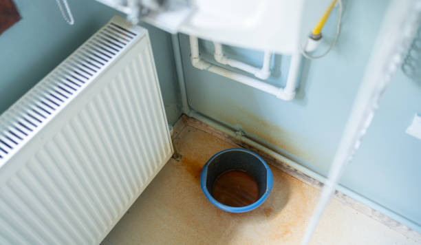 Best Carpet water damage restoration  in Pageland, SC