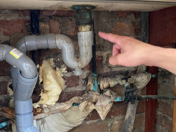 Best Sewage cleanup and water damage restoration  in Pageland, SC