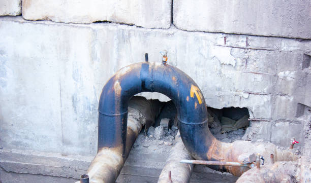 Best Flood damage cleanup  in Pageland, SC