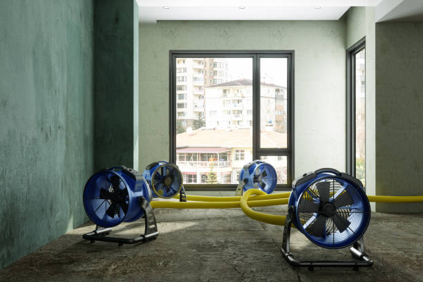 Best Water damage restoration near me  in Pageland, SC